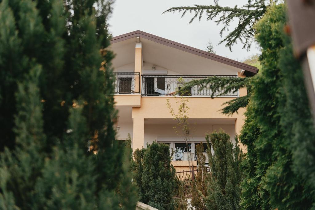 Villa Pandora photo 1
