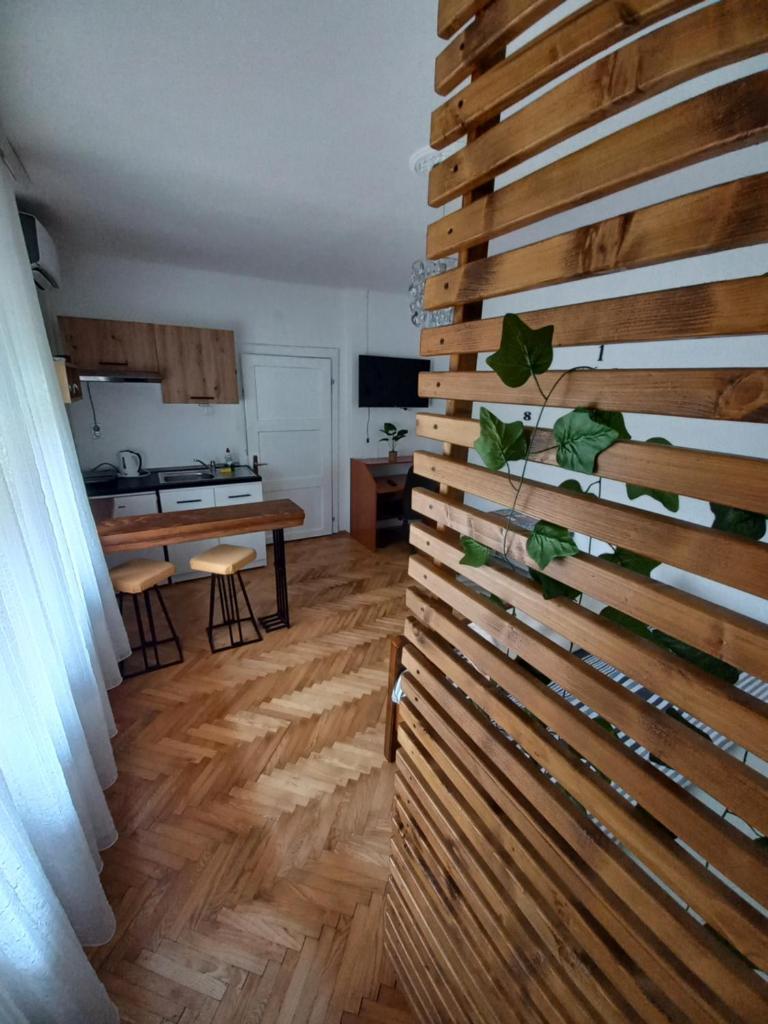 Dvorska oaza photo 3