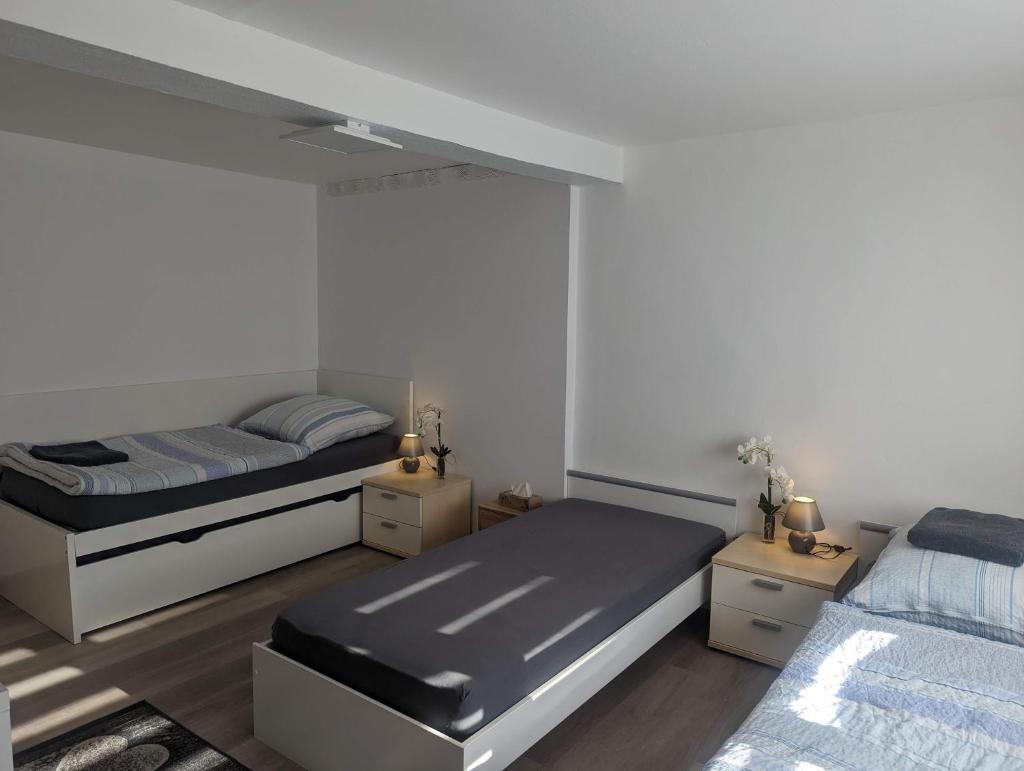 Neuberg Hanau Frankfurt photo 3