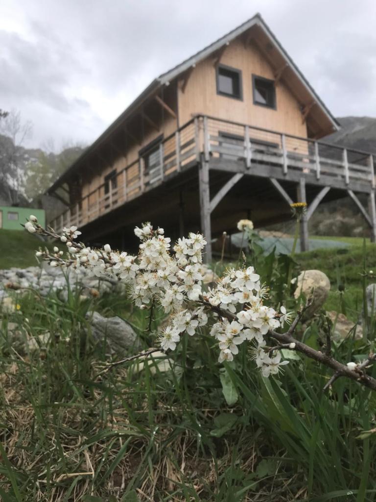 Chalet Gîte Magali de 2 à 12 pers photo 1
