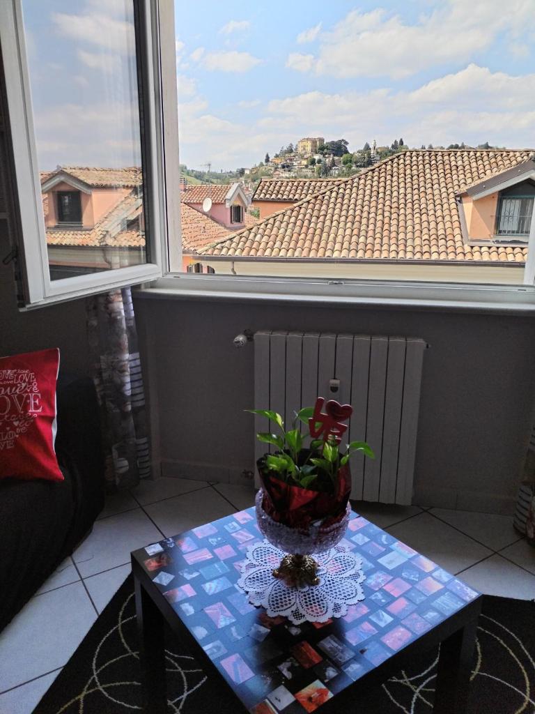 Nido delle meraviglie photo 2