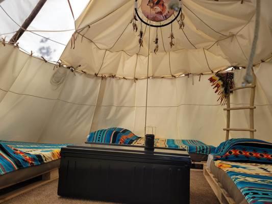 BLUE TIPI photo 2