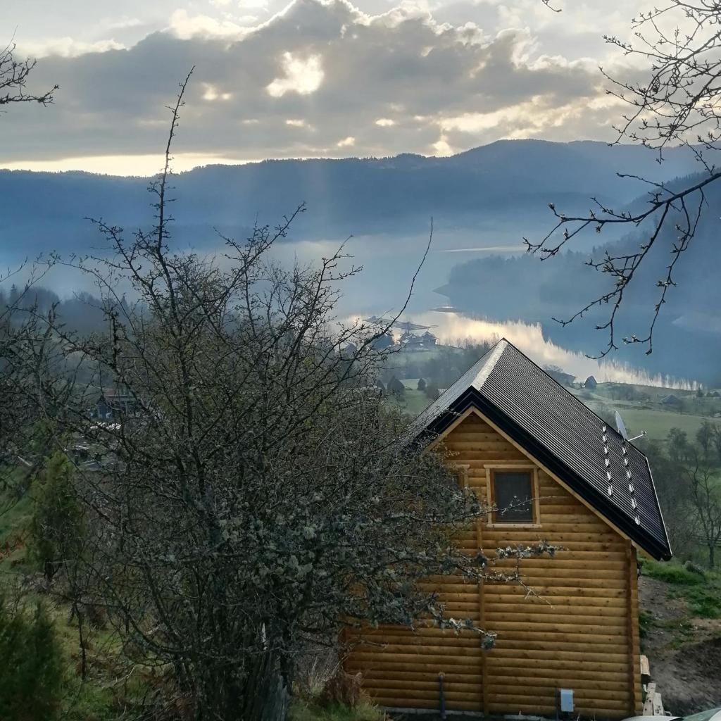 Vila Bella, Tara, Zaovinsko jezero photo 2