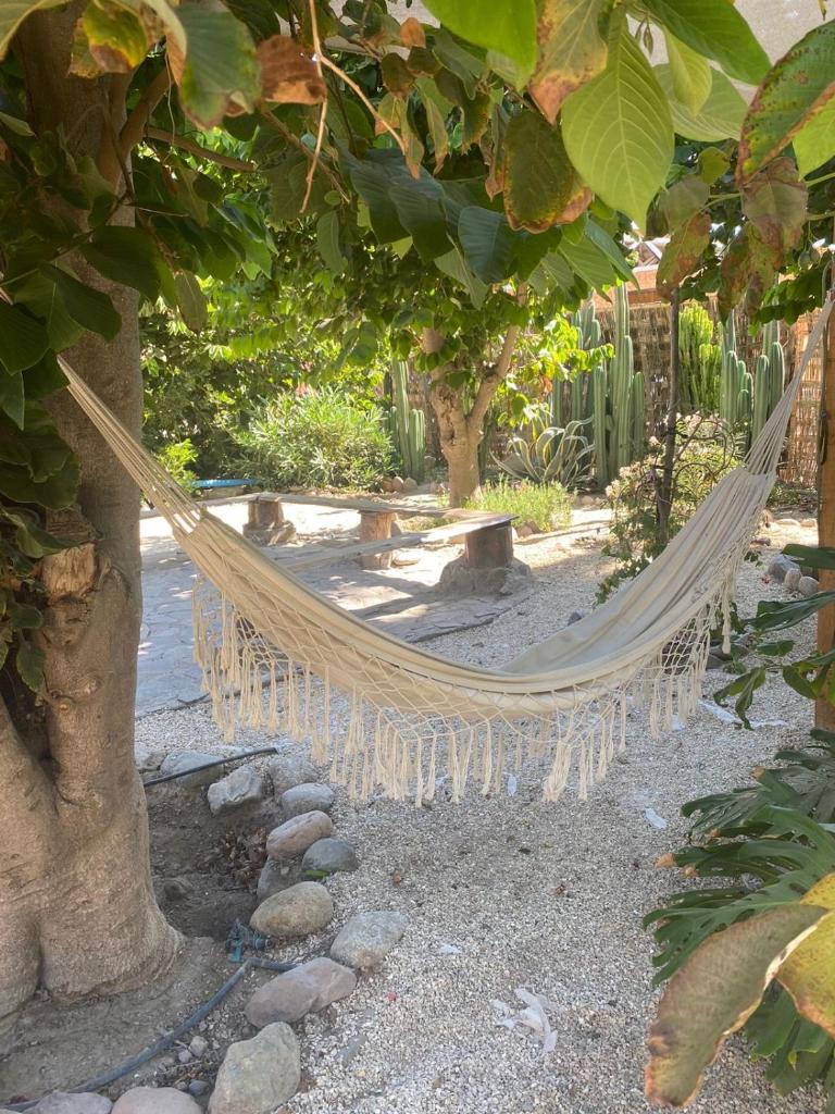 Casa campestre Valle del Elqui photo 2