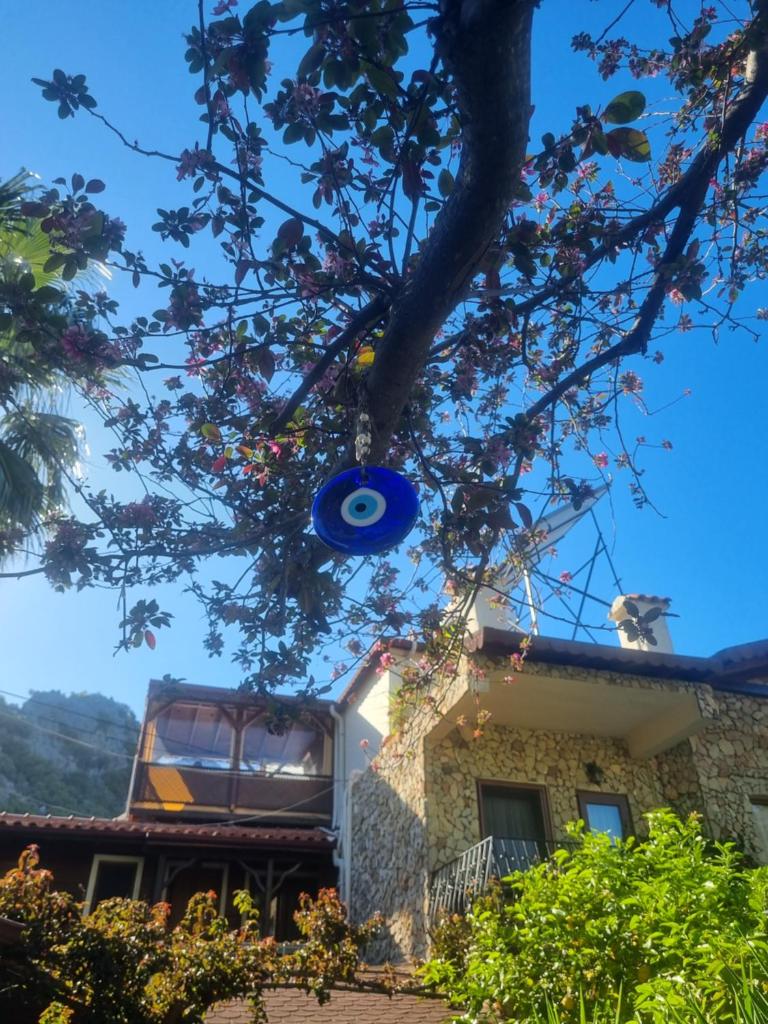Hotel Villa Monte photo 4