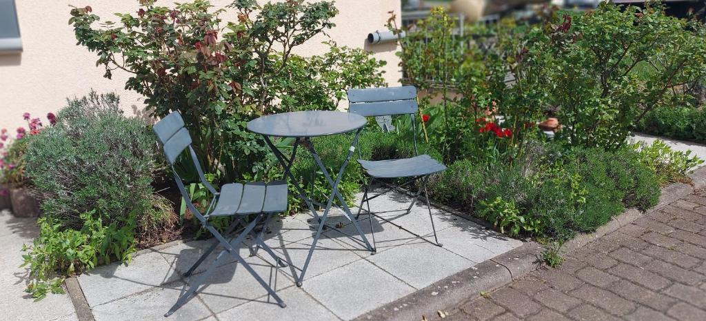Ferienwohnung Freitag photo 1