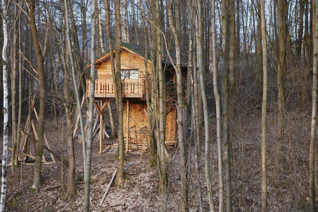 Treehouse Velké Losiny photo 1