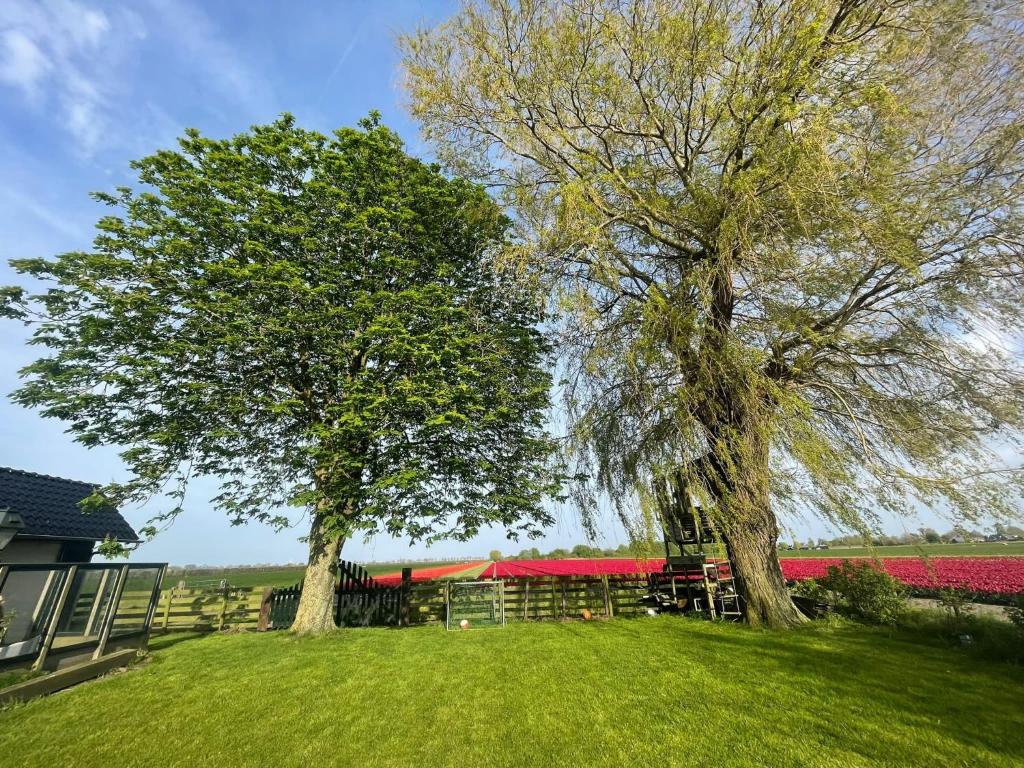 Vakantiehuis Het Uilennest photo 2