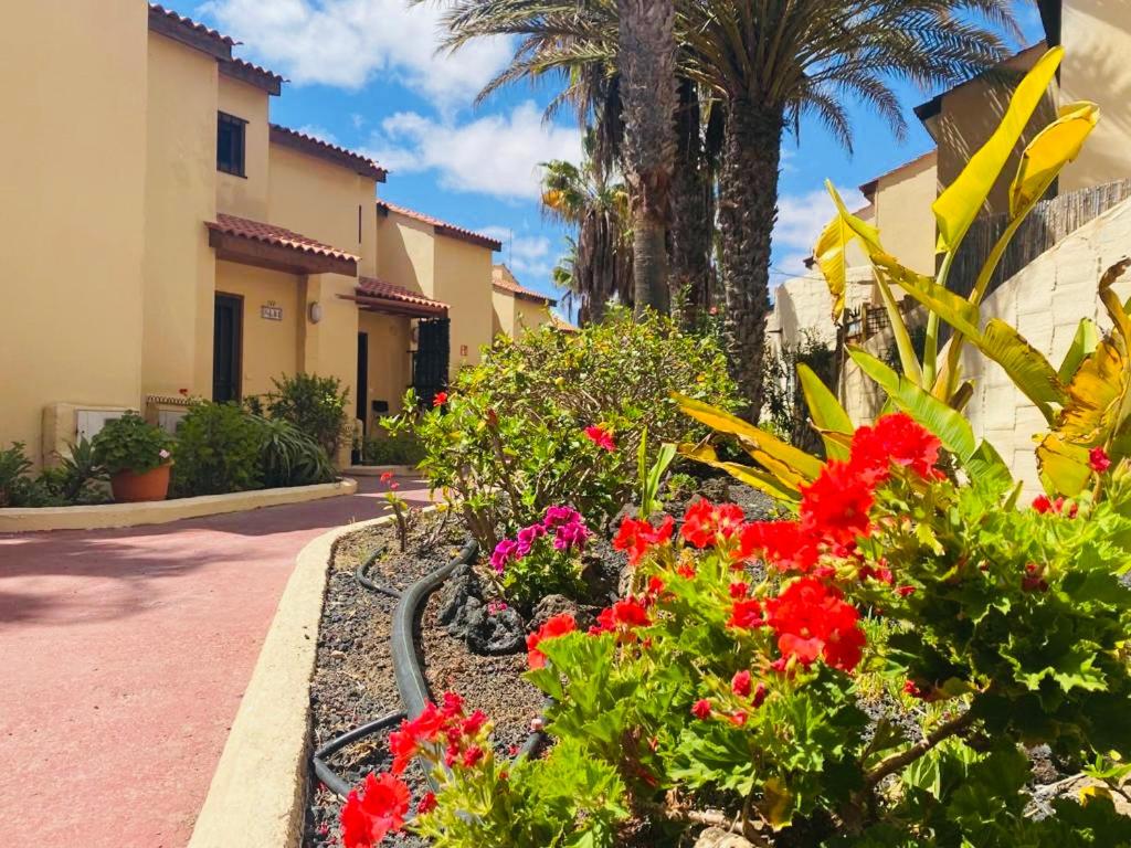 Surf & Chill Bungalow 69, quiet green oasis with community swimmingpool photo 3