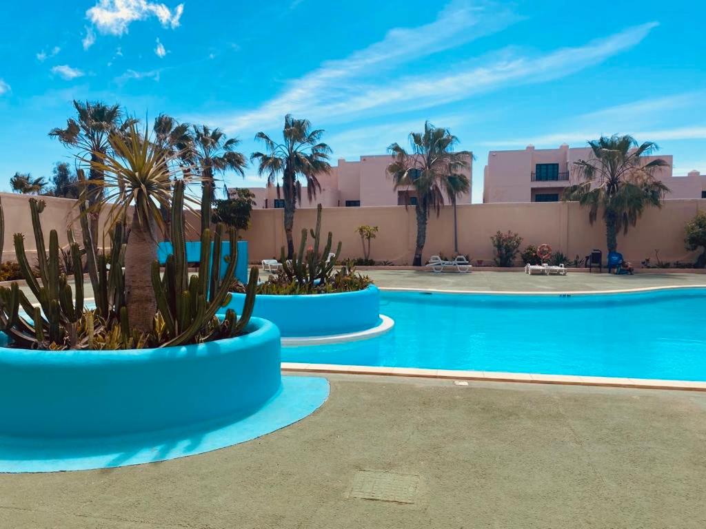 Surf & Chill Bungalow 69, quiet green oasis with community swimmingpool photo 1