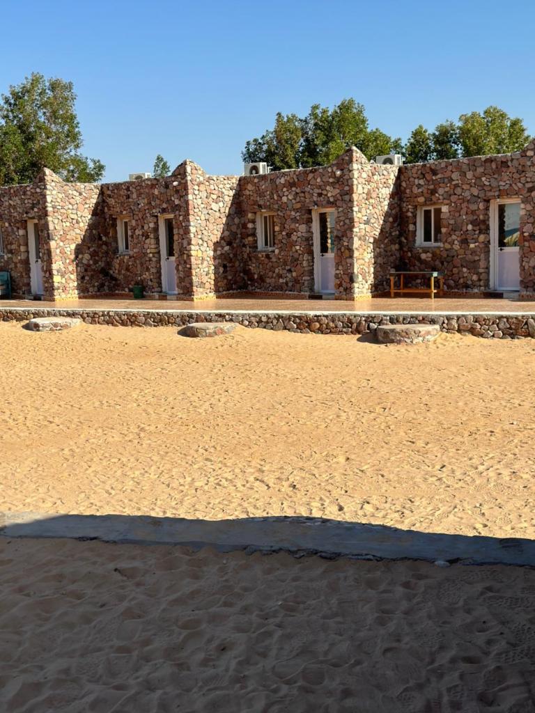 Musa Camp photo 4