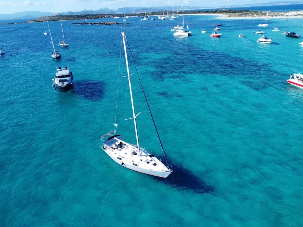 Velero Beneteau Gybsea 50 photo 1