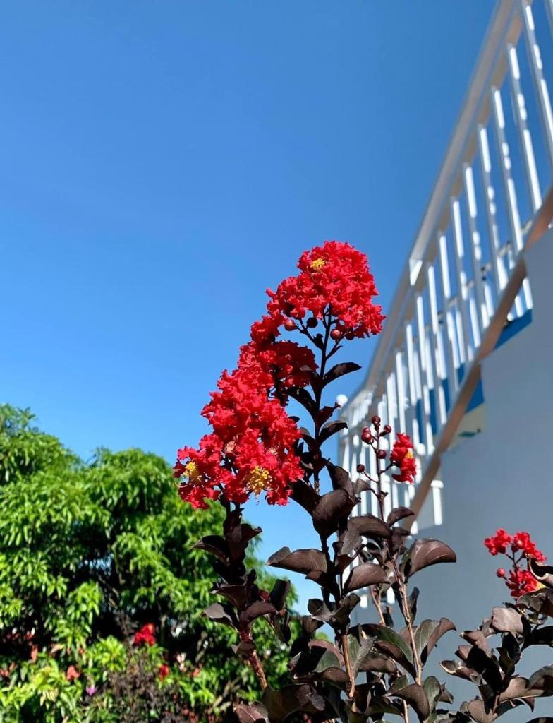 Nắng Homestay Quảng Bình photo 1