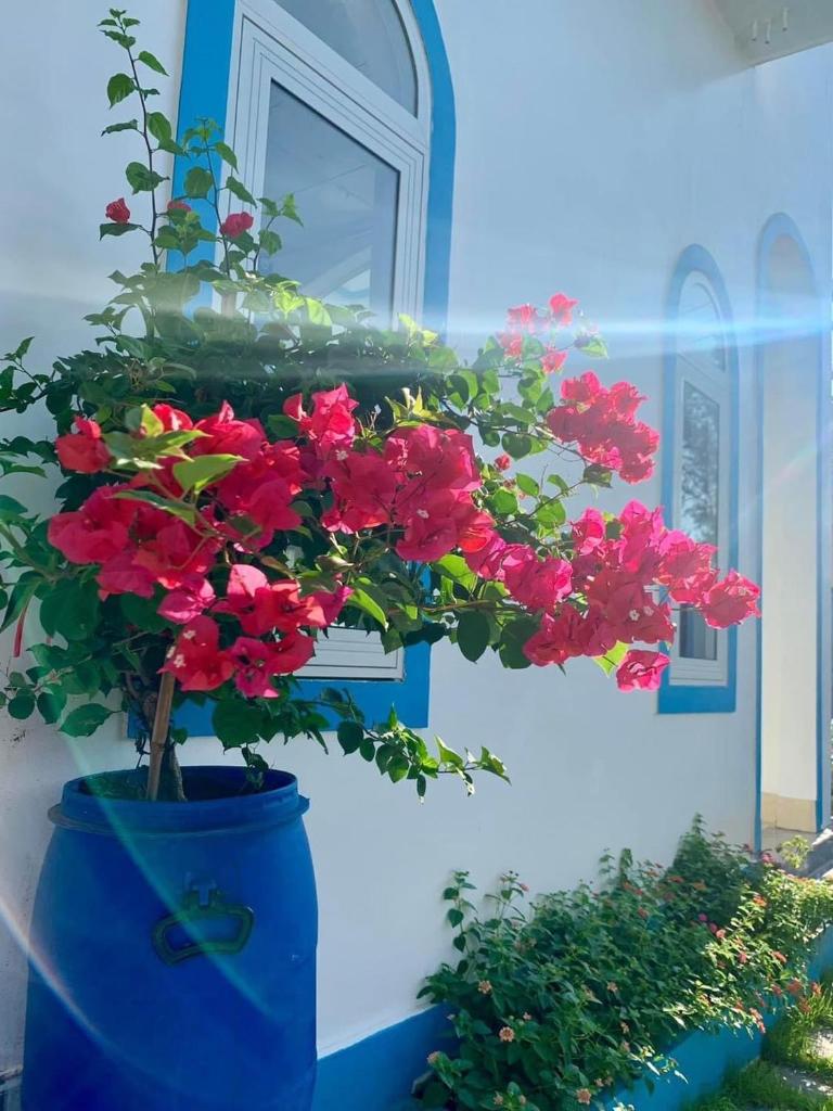 Nắng Homestay Quảng Bình photo 2