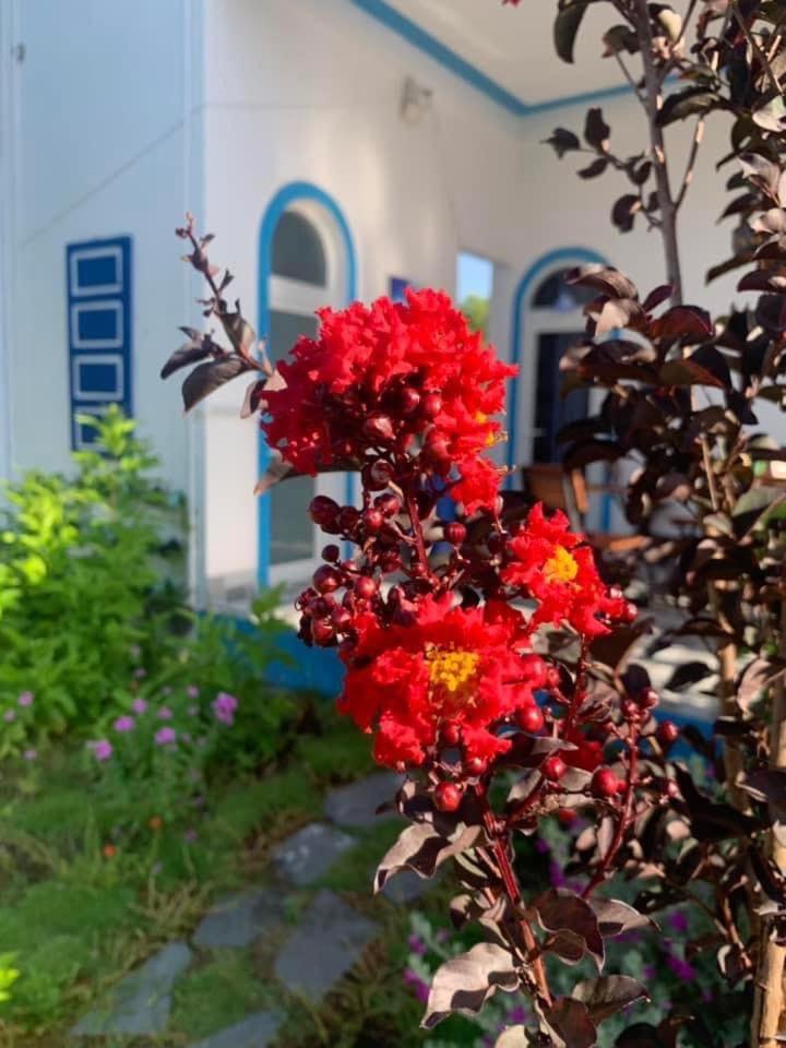 Nắng Homestay Quảng Bình photo 3