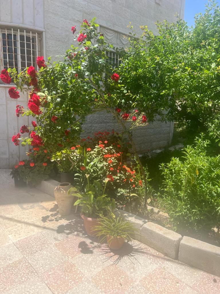 Ajloun Rest House photo 4
