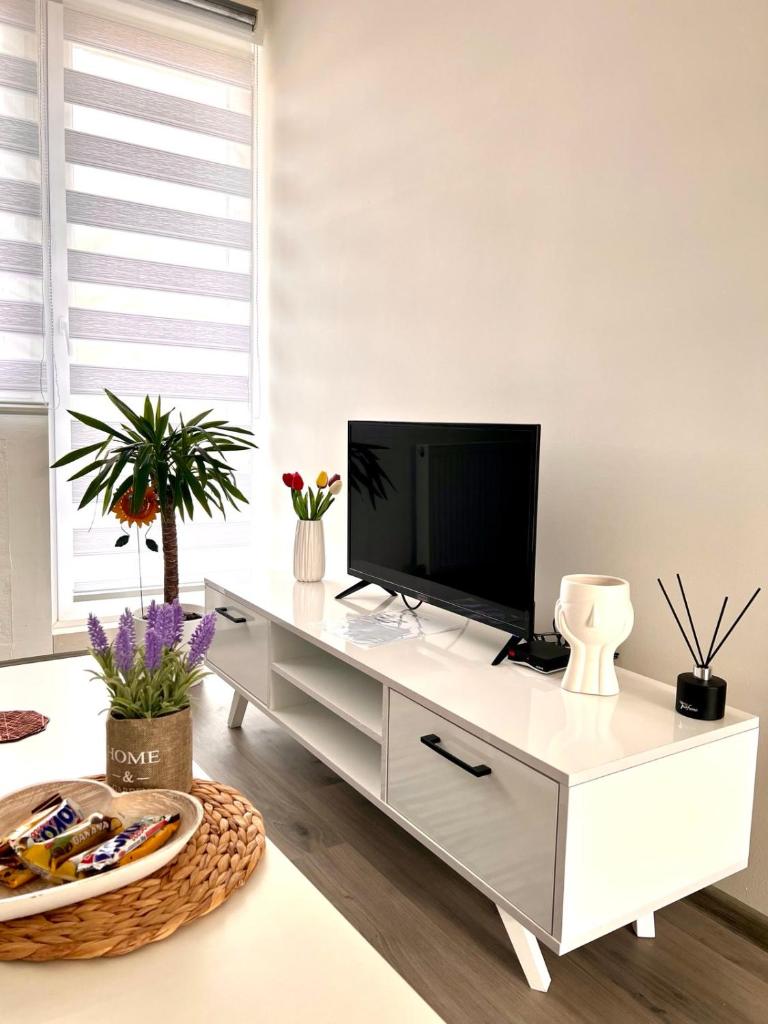 M Apartman photo 1