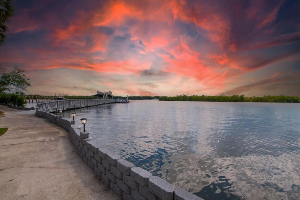 Waterfront Paradise on Tampa Bay with Pool image