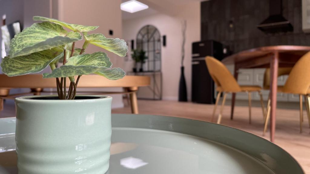 Malis-Ferienhaus photo 4