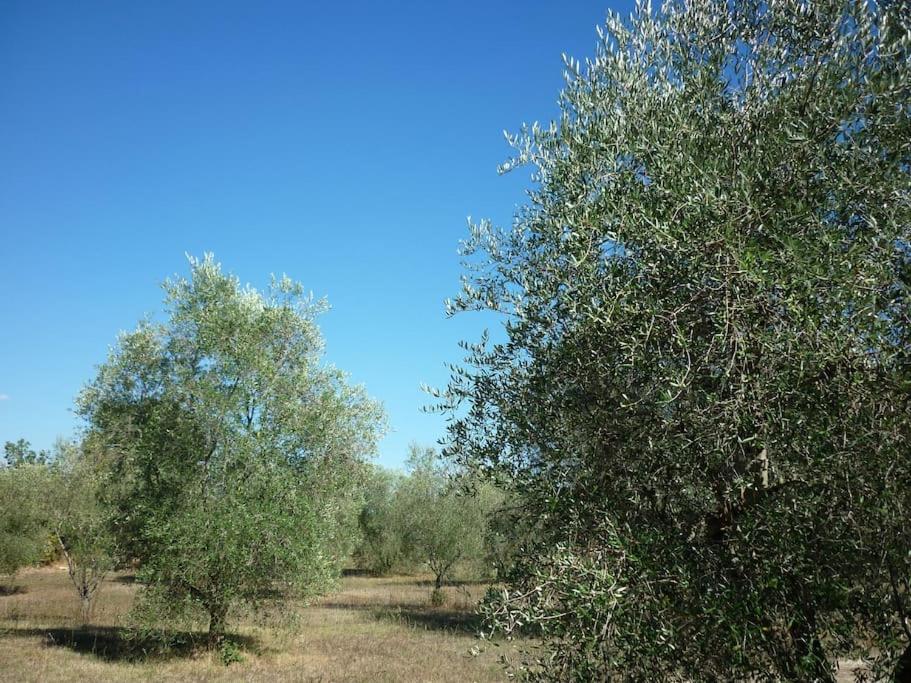 Il Poderetto - Charming house countryside photo 4