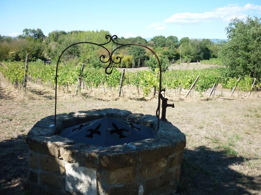 Il Poderetto - Charming house countryside photo 2