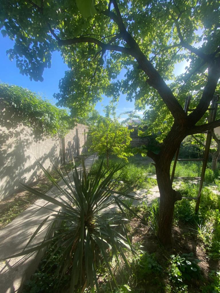 Nelly's Home photo 3