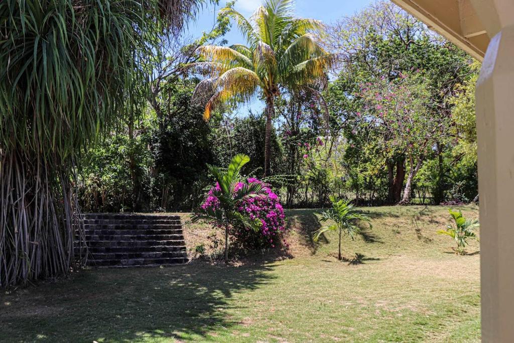 Seven Palms Villa photo 4