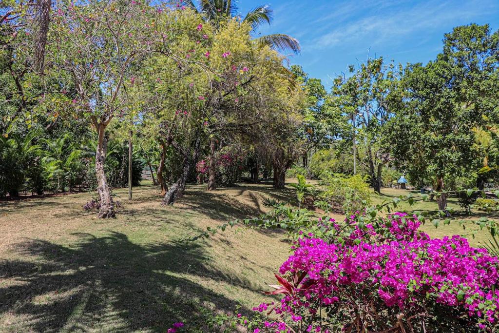 Seven Palms Villa photo 2