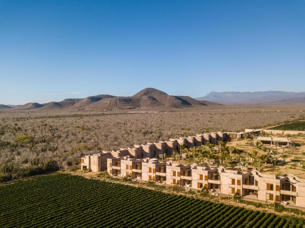 Paradero Todos Santos - Exclusive experiences included photo 2