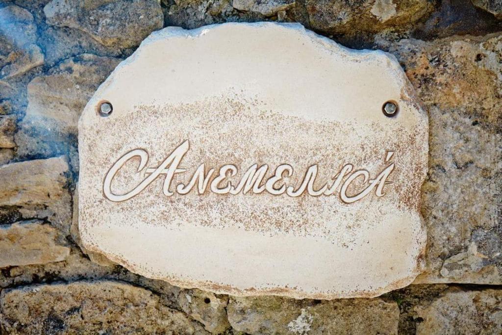 Anemelia' Villa photo 4