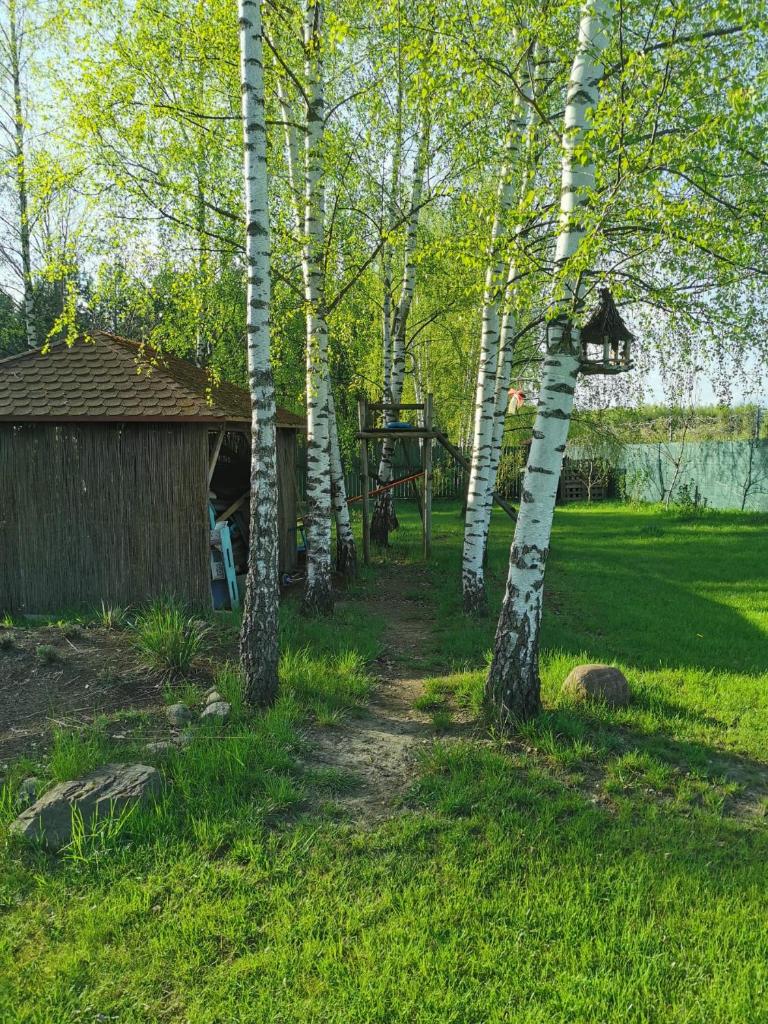 Domek na Skarpie photo 3
