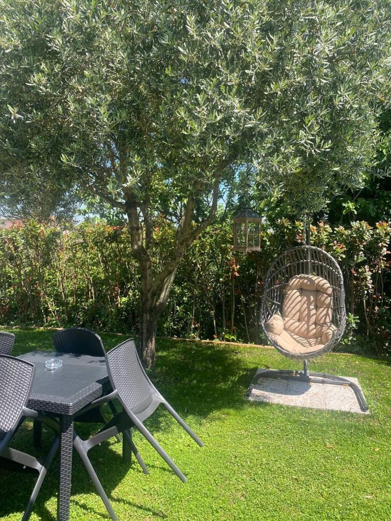 Albachiara photo 1
