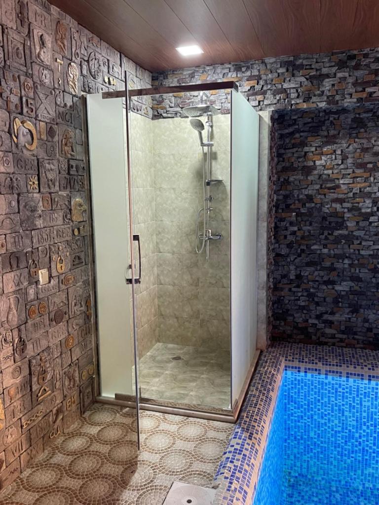 Premium VILLA (LUXURY Mansion) photo 3