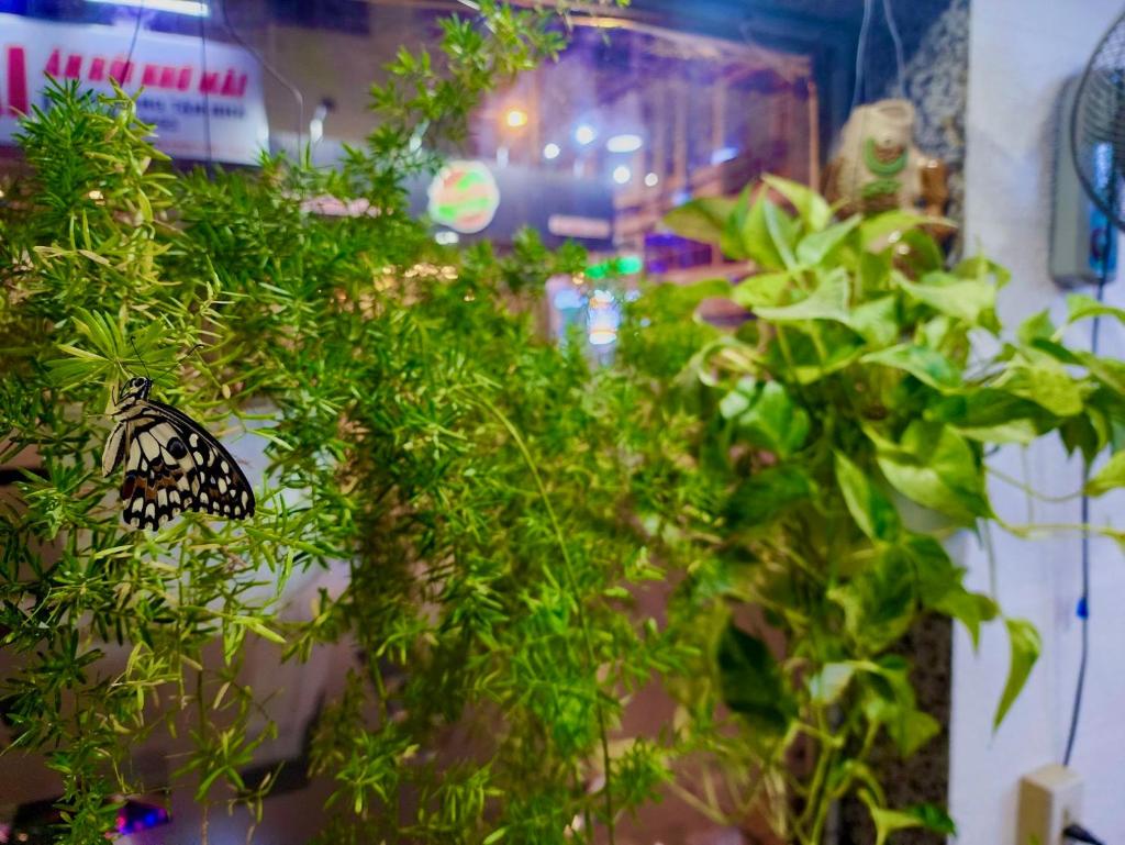 MES HOTEL (Near Ninh Kieu wharf)