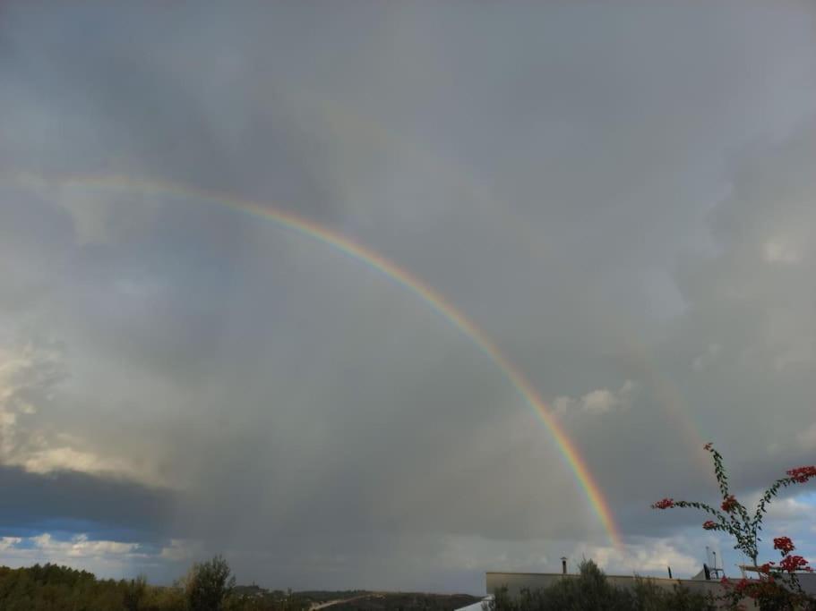 ג'וליוס סוויטה photo 1