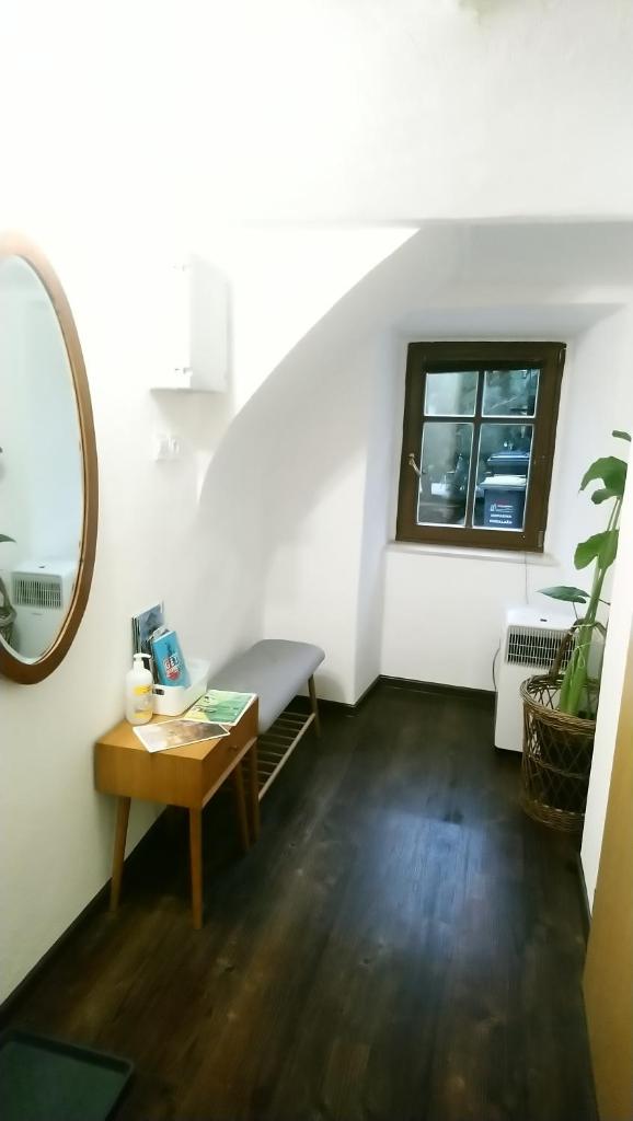 Apartment Room Old City - Apartment Slavija photo 3
