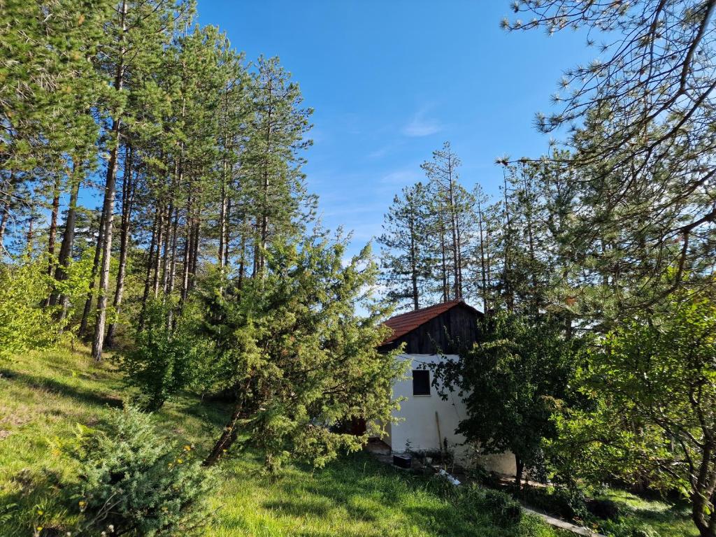 Bujtinat Skenderi Gjinar 1 photo 3