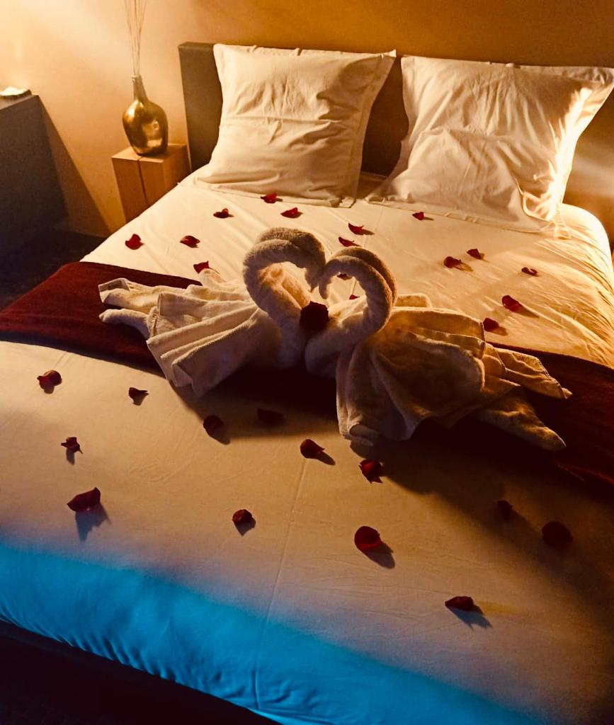 Octavie - Suite de luxe à Tournai avec piscine privée, jacuzzi, sauna et hammam photo 2