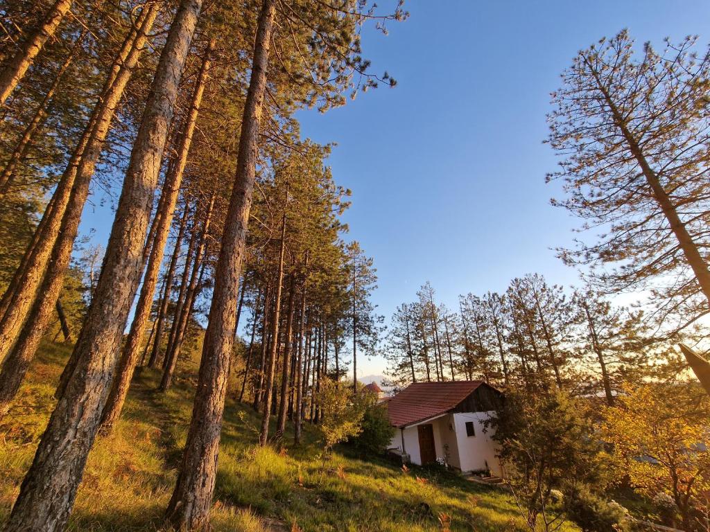 Bujtinat Skenderi Gjinar 1 photo 2