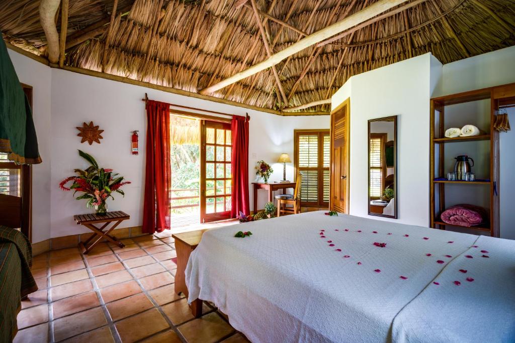 Tanager RainForest Lodge photo 3