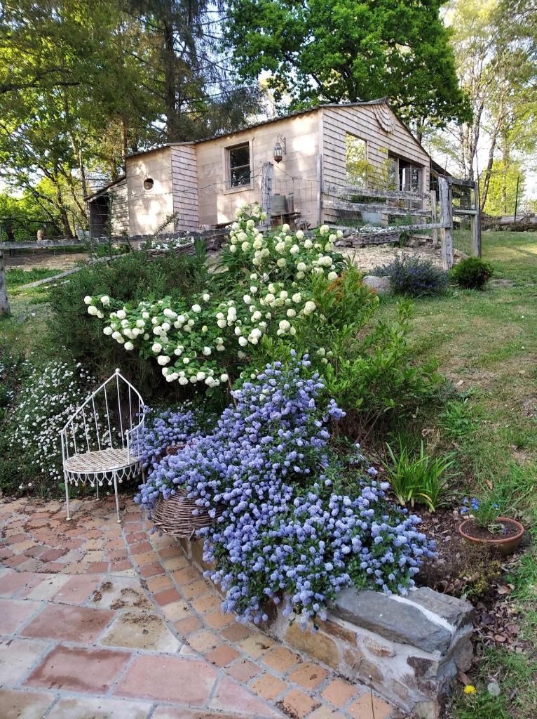 Maison dans un environnement boisé très calme photo 3