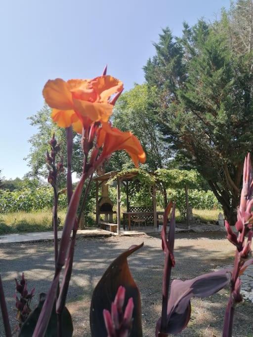 Domaine Manos photo 2