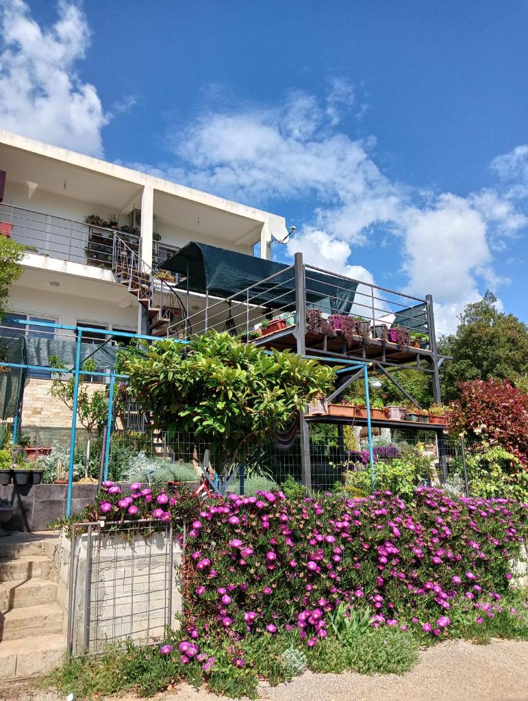 Apartment Lia