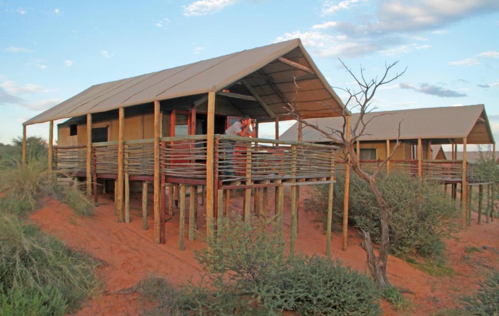 Suricate Tented Kalahari Lodge photo 2