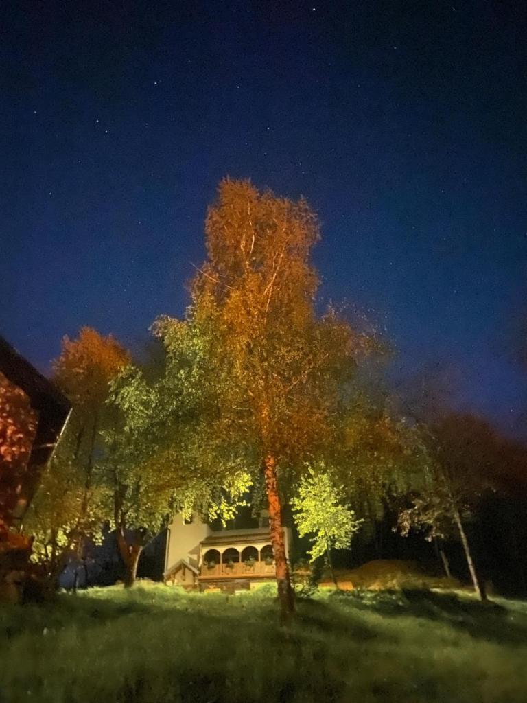 Kuca za odmor ,,Balkan” photo 3