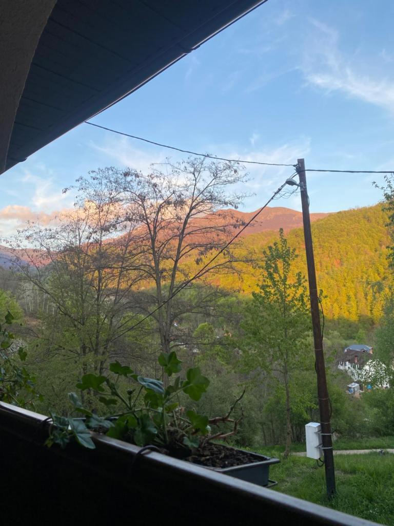 Kuca za odmor ,,Balkan” photo 2