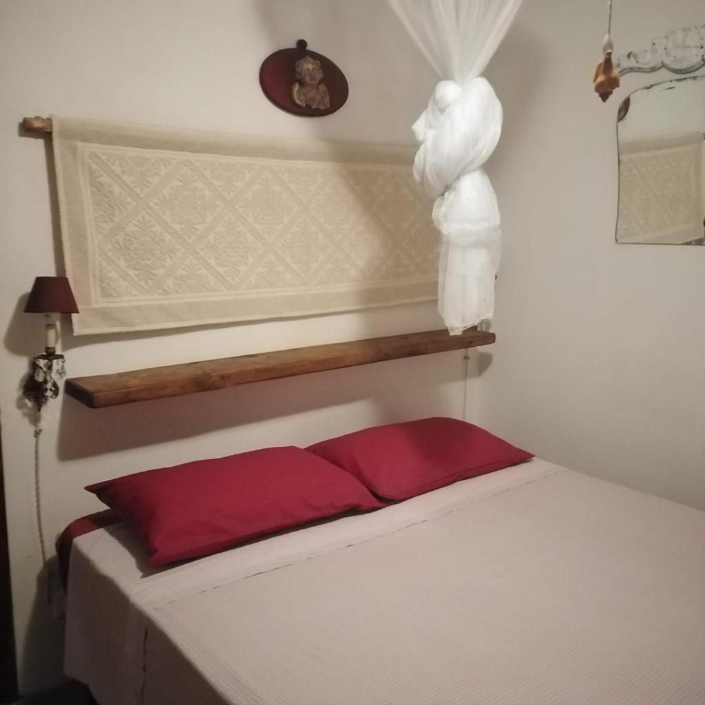 il corbezzolo photo 4