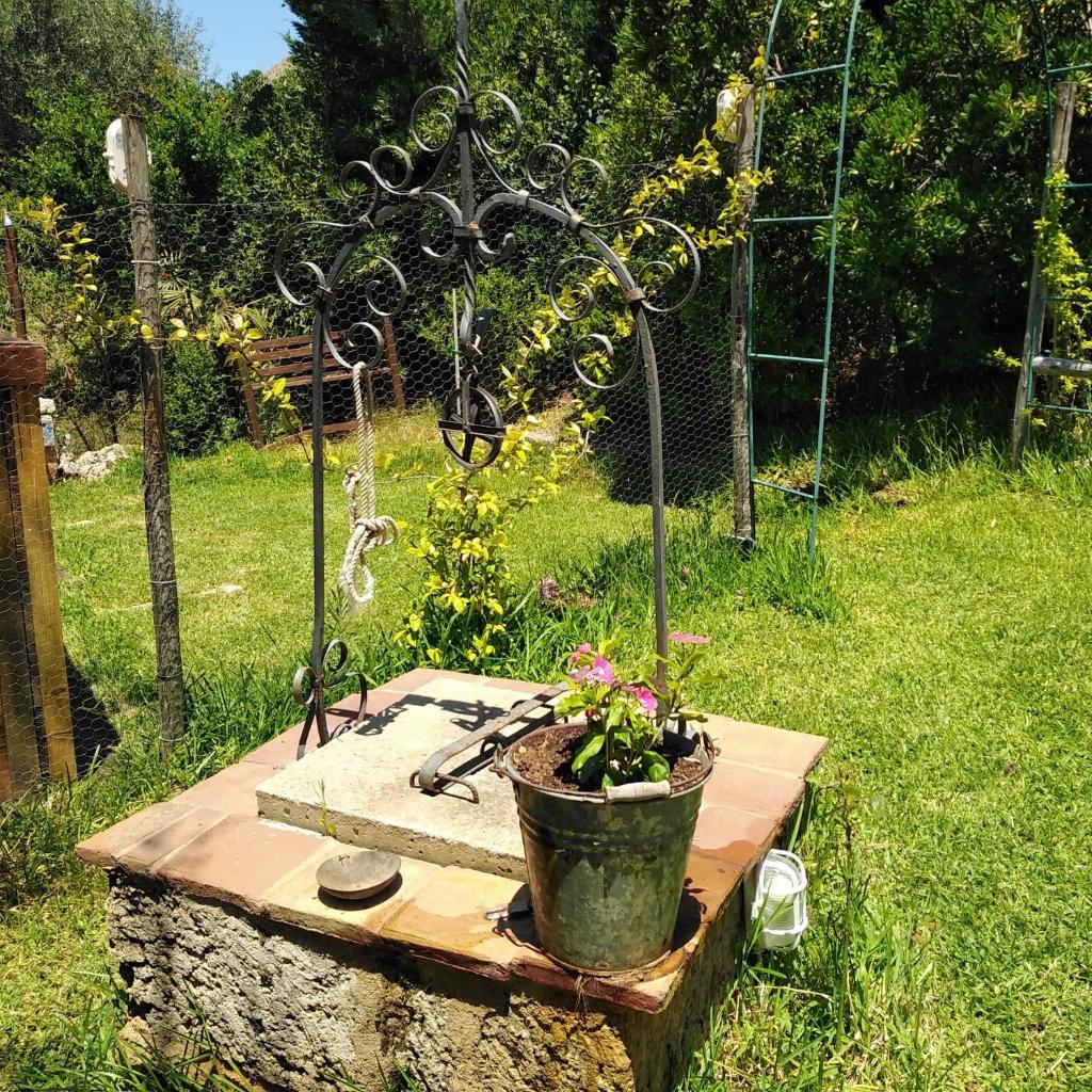 il corbezzolo photo 3