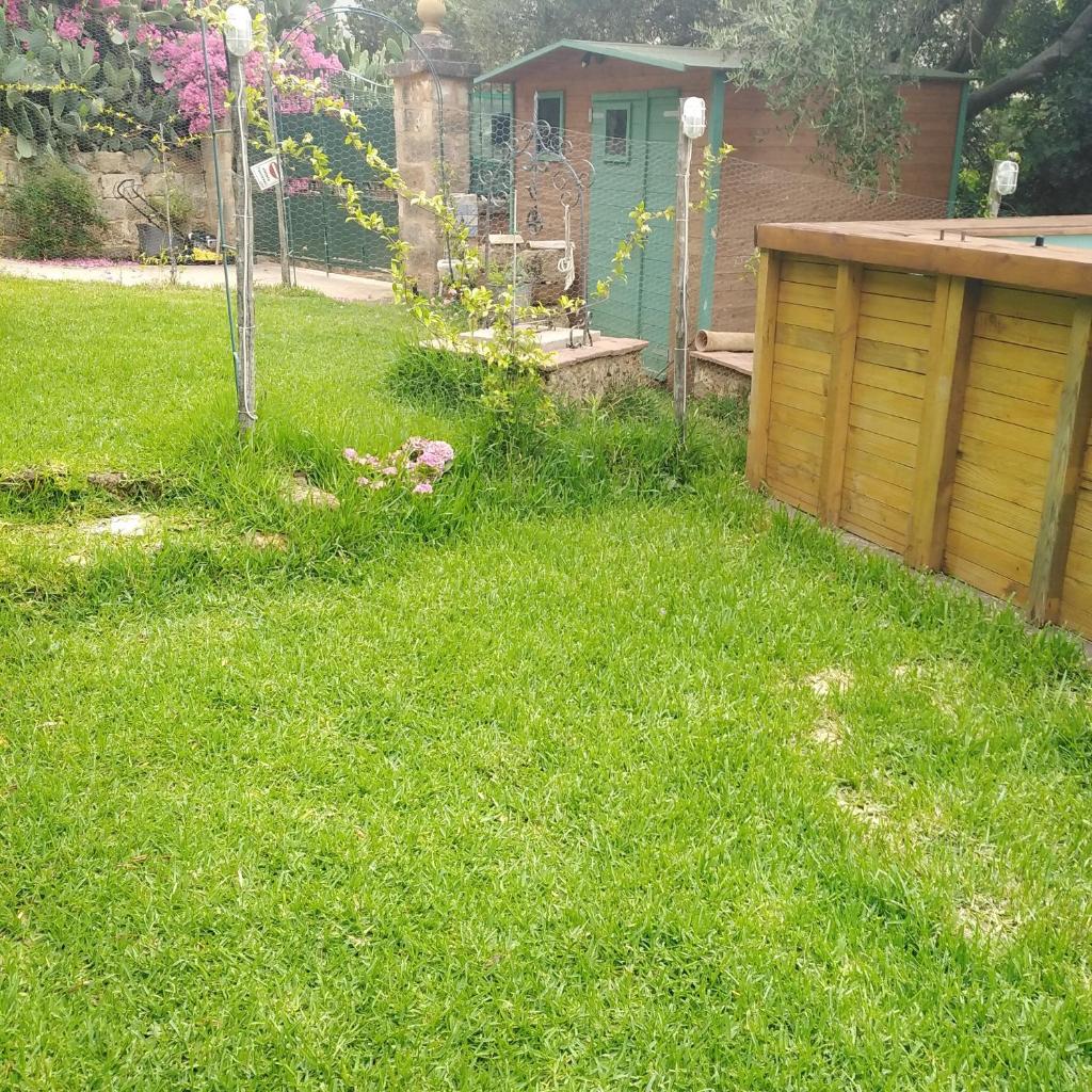 il corbezzolo photo 1