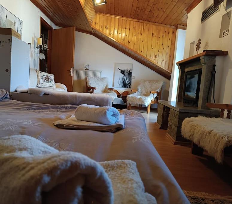 Cozy Loft with Fireplace & View photo 2